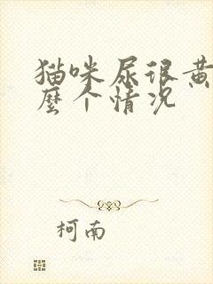 猫咪尿很黄是怎么个情况