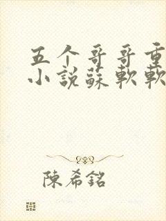 五个哥哥重生的小说苏软软