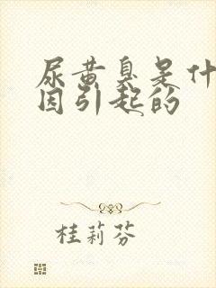 尿黄臭是什么原因引起的