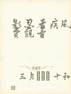 影忍者疾风传免费观看