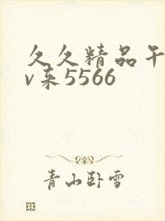 久久精品午夜av来5566