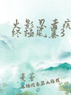 火影忍者疾风传终极风暴3