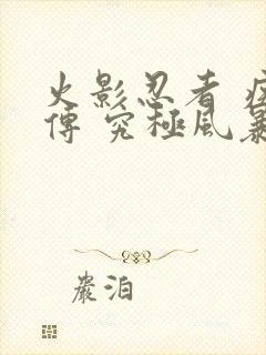 火影忍者 疾风传 究极风暴2下载