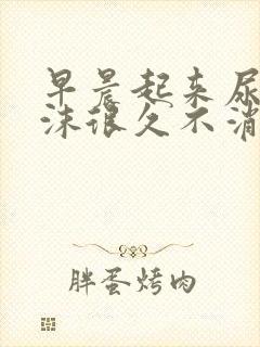 早晨起来尿有泡沫很久不消散