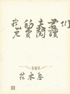 我的夫君们全文免费阅读