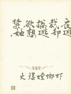 禁欲总裁夜夜缠,她想逃却逃不掉祁砚峥温