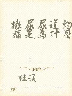 撒尿尿道灼热刺痛是为什么