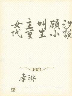 女主叫顾汐的现代重生小说