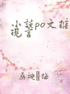 小说po文推荐现言