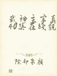 武神主宰真人版40集在线观看