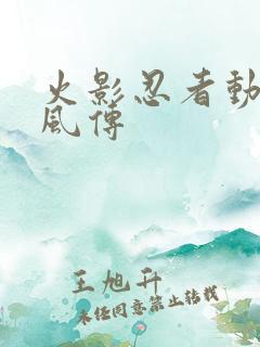 火影忍者动画疾风传