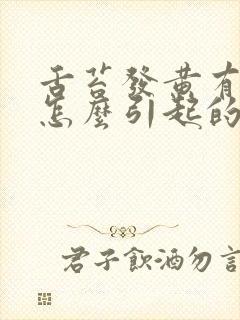 舌苔发黄有口臭怎么引起的