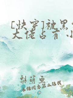 [快穿]被黑化大佬占有 小说