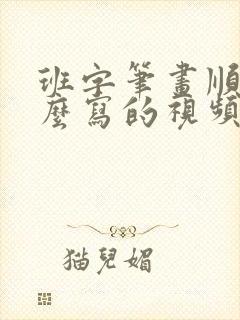 班字笔画顺序怎么写的视频