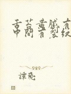 舌苔黄腻有齿痕中间有裂纹