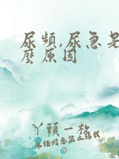 尿频,尿急是什么原因