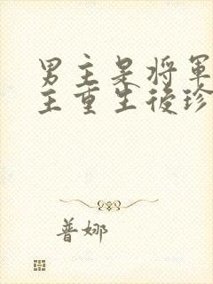 男主是将军,女主重生后珍惜男主