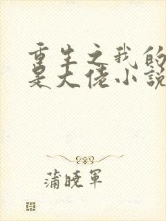 重生之我的老公是大佬小说