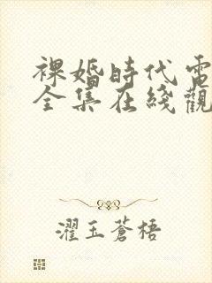 裸婚时代电视剧全集在线观看