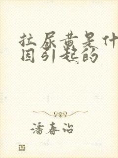 拉尿黄是什么原因引起的