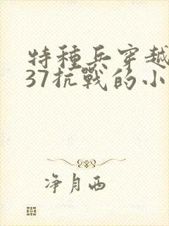 特种兵穿越1937抗战的小说