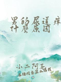 男的尿道痒痒是什么原因