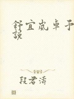 舒宜岚卓予淮小说