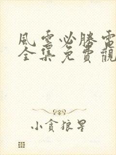 风云必胜电视剧全集免费观看