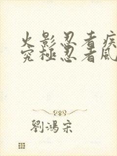 火影忍者疾风传究极忍者风暴2