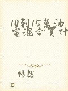 10到15万油电混合买什么车好