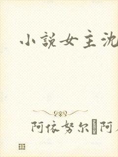 小说女主沈念初