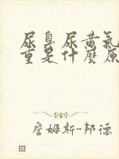 尿臭尿黄气味很重是什么原因