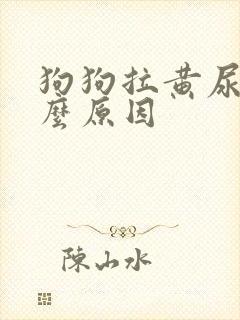 狗狗拉黄尿是什么原因