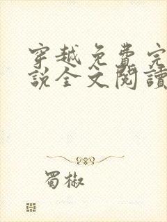 穿越免费完结小说全文阅读全文