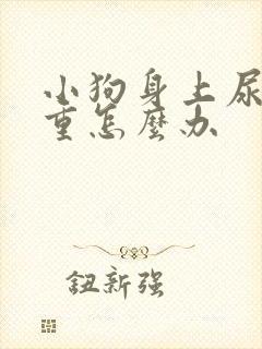 小狗身上尿骚味重怎么办