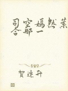 司空嫣然叶凡结合哪一