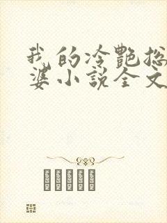 我的冷艳总裁老婆小说全文阅读