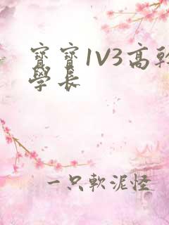 宝宝1V3高干学长
