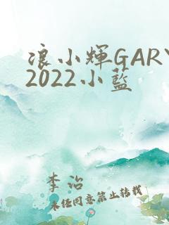 浪小辉GARY2022小蓝