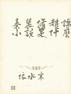 秦慕修赵锦儿的小说是什么