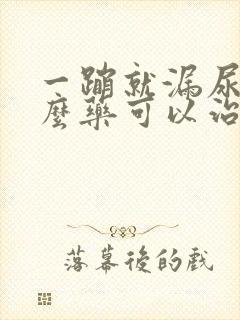 一蹦就漏尿吃什么药可以治疗