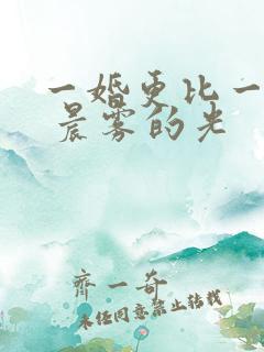 一婚更比一婚高 晨雾的光
