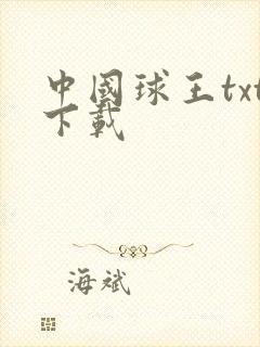 中国球王txt下载
