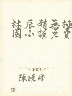 林辰赵无极大魏国小说免费阅读新笔趣阁