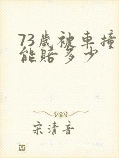 73岁被车撞死能赔多少