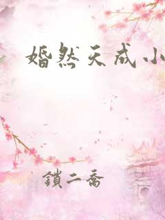 婚然天成小说