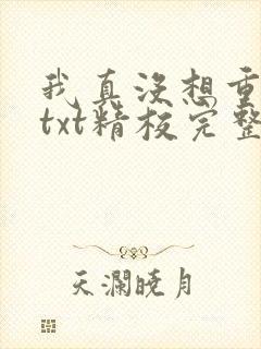 我真没想重生啊txt精校完整版