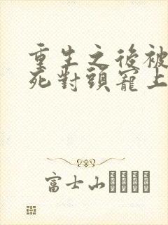 重生之后被渣男死对头宠上天