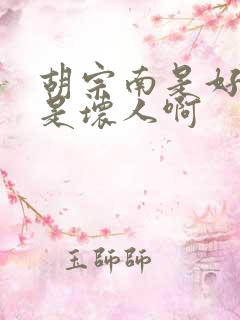 胡宗南是好人还是坏人啊