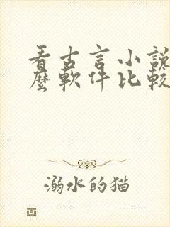 看古言小说用什么软件比较好